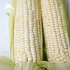 生态玉米 | 合作生产 *   Ecological corn | Coproduction 商品缩略图6