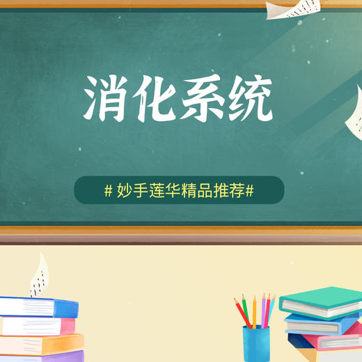 消化系统 商品图0