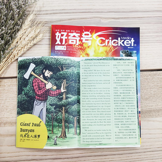 【有书】《好奇号》杂志丨下单当月起1年内，每月20号发三本，2本正品（大）+1本赠品（小） 商品图2