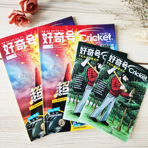 【有书】《好奇号》杂志丨下单当月起1年内，每月20号发三本，2本正品（大）+1本赠品（小） 商品图1