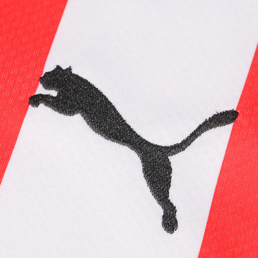 PUMA/彪马 PSV Home Jersey Replica22-23赛季埃因霍温主场球迷版比赛球衣76603801 商品图2