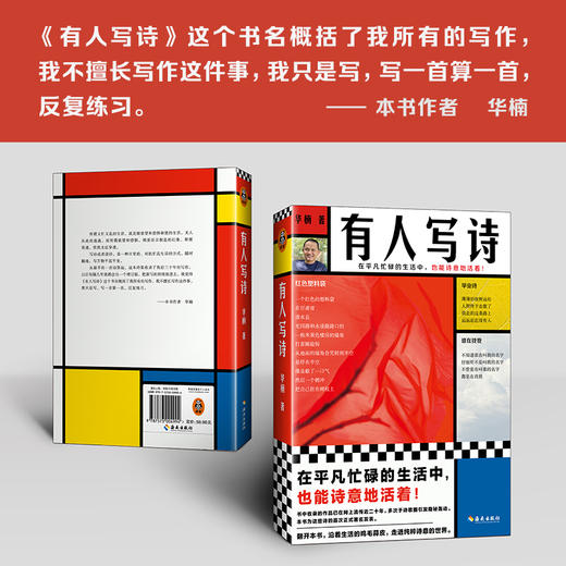 有人写诗（在平凡忙碌的生活中，也能诗意地活着！） 商品图4