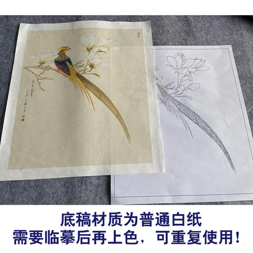 李长白工笔画花鸟白描底稿玉兰锦鸡《玉堂富贵》花鸟线稿YL01 商品图3