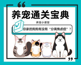 你家的狗狗有没有“分离焦虑症”？