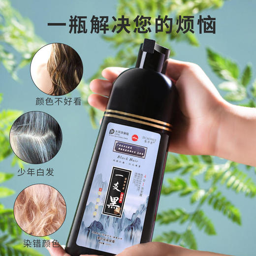 【第3瓶1元】广州白云山一洗黑染发无需调剂一洗即染染发像洗头一样简单萃取植物精华多色可选智能染发 商品图1
