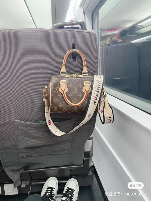 Lv20枕头包（顶级原单） 商品图0