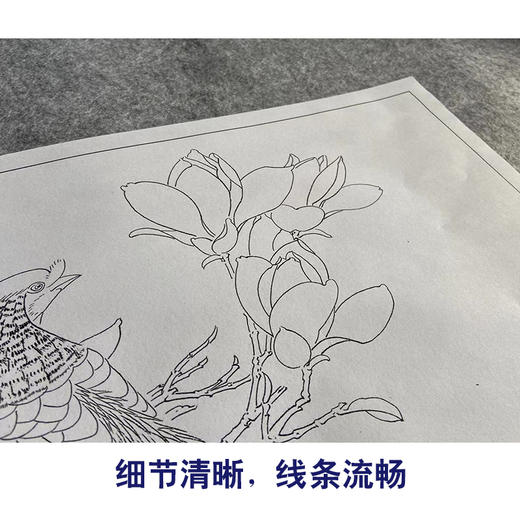 李长白工笔画花鸟白描底稿玉兰锦鸡《玉堂富贵》花鸟线稿YL01 商品图4