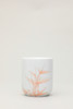 直筒杯（花） 商品缩略图5