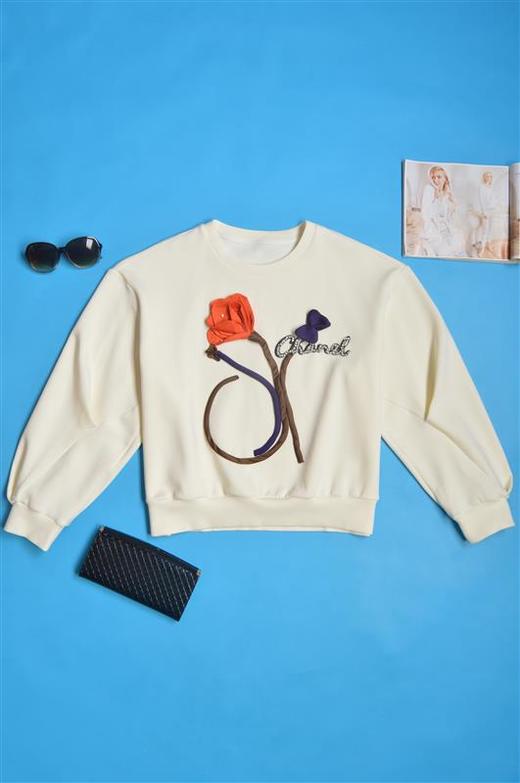 积度衣SYQ8AF_卫衣_ZK 商品图0