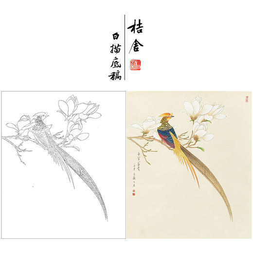 李长白工笔画花鸟白描底稿玉兰锦鸡《玉堂富贵》花鸟线稿YL01 商品图0