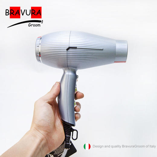 宠物吹风机 无刷大功率吹风机 噪音低 猫咪&大中小犬用 RA2101意大利BRAVURAGROOM  商品图1