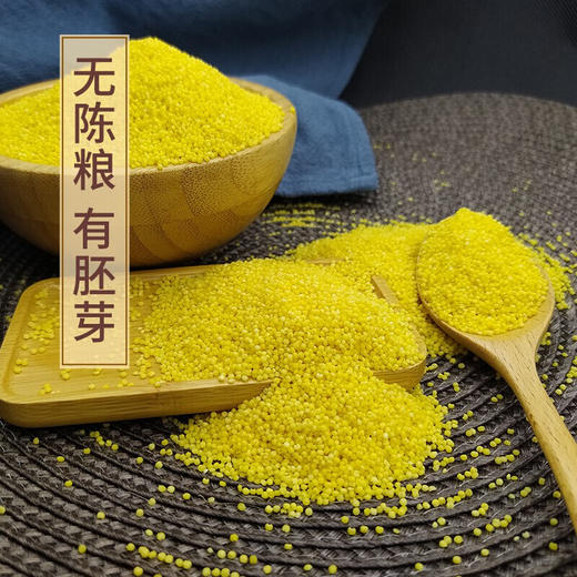 【买2赠1】 粒博士有机胚芽赤峰黄小米粟米非粘米煮粥宝宝米月子米500g 商品图4