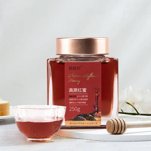 青藏高原红花蜜 250g/500g  采自海拔3500米草红花  46届国际蜂联品质大奖 非遗老字号 商品图1