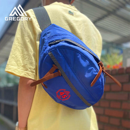 Gregory格里高利45周年系列男女城市潮流休闲腰包双肩背包斜挎包 商品图2