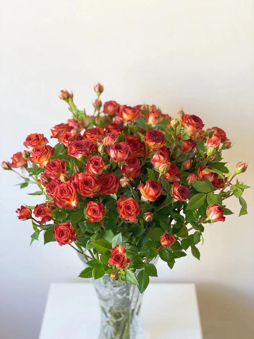 巧克力泡泡（2枝） 商品图0