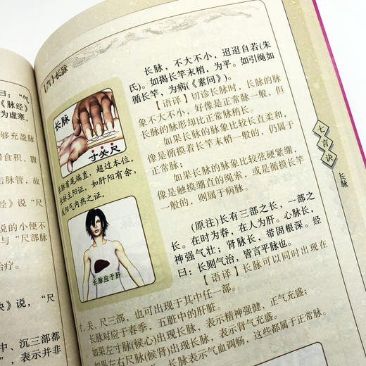 林政宏濒 湖脉学一学就通正版 中医脉学 脉诊把脉入门书籍 濒湖脉学白话解 中医基础理论入门书李时珍 中医中药初学院校学生参考书 商品图3