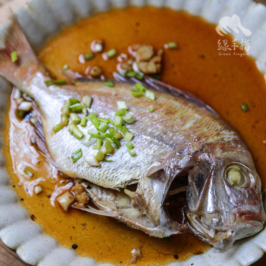 野生东山岛海钓赤鯮鱼（海钓鱼，嘴里可能有鱼钩，大家注意！！介意慎拍）| 合作生产 * Wild Garoupar | Coproduction 商品图2