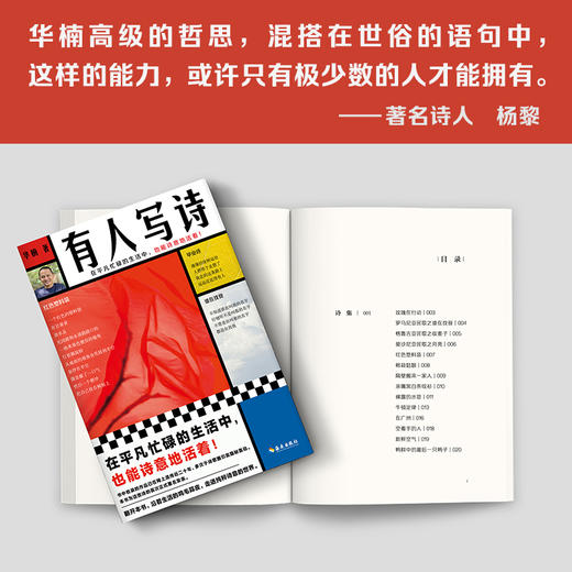 有人写诗（在平凡忙碌的生活中，也能诗意地活着！） 商品图6