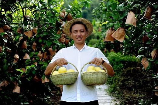 原价120元，新鲜柠檬体验装 商品图1