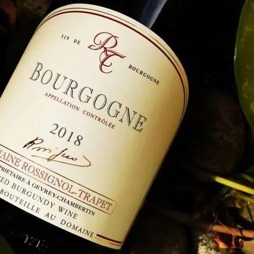 【有机生物动力双认证】罗西尼特拉佩庄园勃艮第红葡萄酒 2019 Domaine Rossignol-Trapet Bourgogne Rouge 商品图0