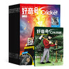 【有书】《好奇号》杂志丨下单当月起1年内，每月20号发三本，2本正品（大）+1本赠品（小） 商品缩略图0