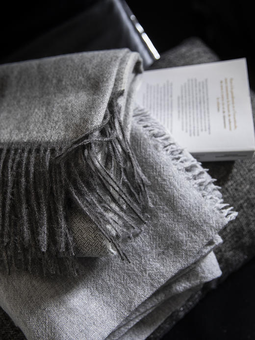 AT邸尔铂 · 法国进口奢华家纺游牧者NOMADE家居床品配件搭毯 商品图4