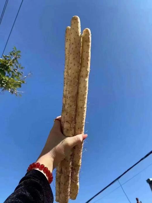 周五取货：【金沙山药】一袋2斤左右，肉质紧实，细长饱满，冰糖口感，清香软糯！！！ 商品图5