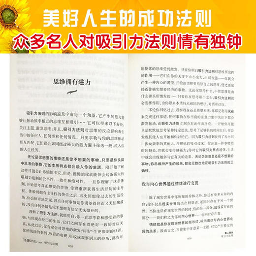 吸引力法则 心想事成的秘密 埃斯特希克斯 激发无限潜能增强个人魅力 自我实现青春励志职场人际交往书籍 商品图3