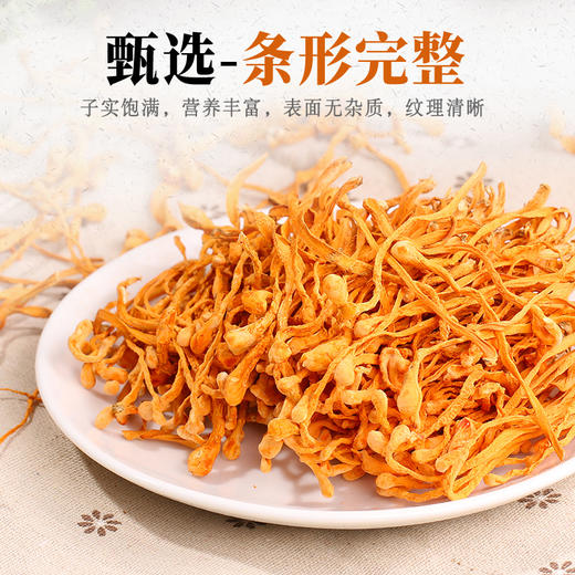 东北虫草花丨干货100g/袋丨无硫熏无防腐无添加丨炒菜煲汤凉拌食材菌菇 商品图0