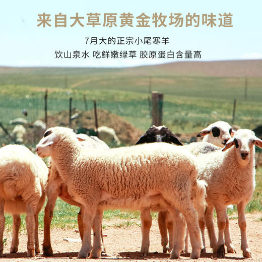 【认准新北方优选】哈拉迪草原羊杂 加量不价 商品图1