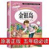 金银岛 正版书 原著 史蒂文森 世界经典名著 小学生三四五六年级必读课外阅读书籍故事人民青少年儿童版文学读物山东美术出版社4-5 商品缩略图0