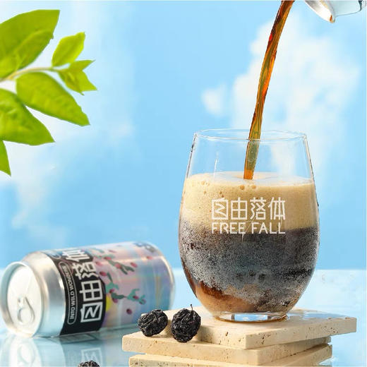 道酿 自由落体烟熏乌梅 330ml 商品图0