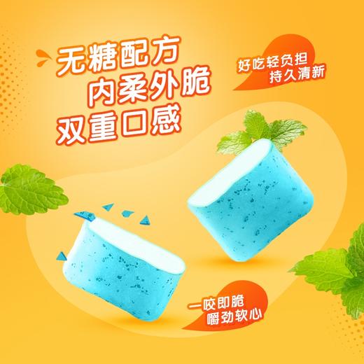 炫迈  口香糖 65.1g 商品图1