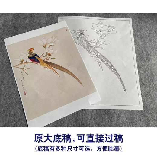 李长白工笔画花鸟白描底稿玉兰锦鸡《玉堂富贵》花鸟线稿YL01 商品图1