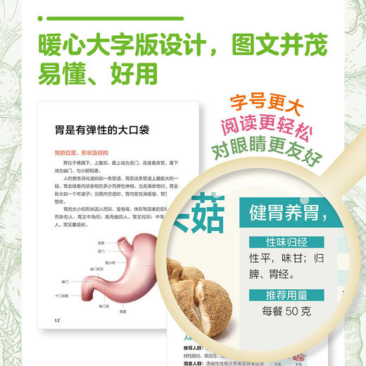 钱家鸣养肠胃饮食大字版 商品图2