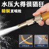 全铜高压水枪家用多功能喷枪4分6分水管通用浇花浇菜洗车水枪神器 商品缩略图8