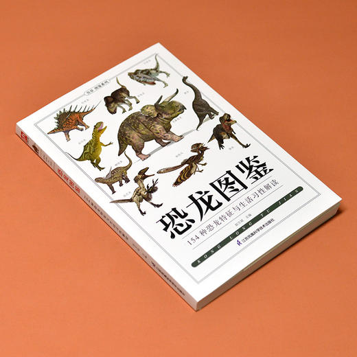 恐龙图鉴 商品图4