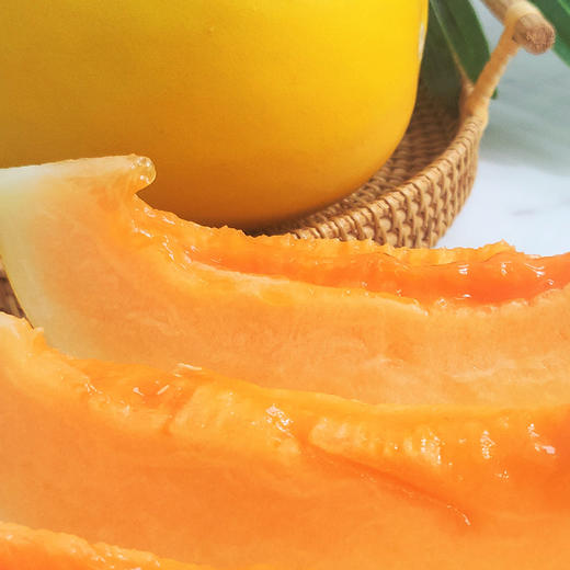 【沙漠黄金】甘肃民勤蜜瓜 2颗装 商品图1