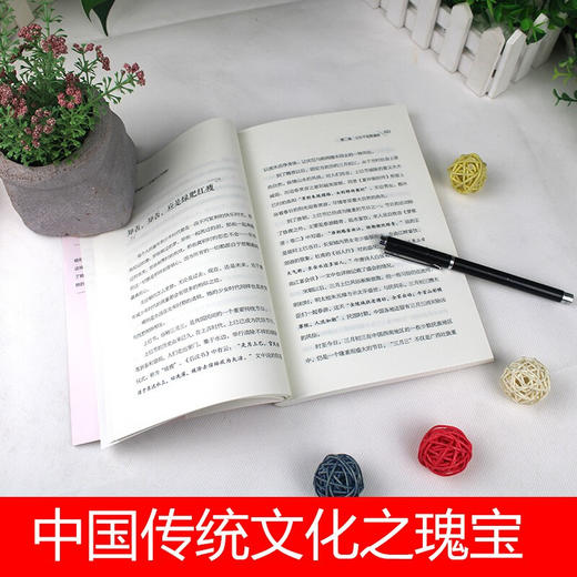 李清照词传原文注释文白对照高中初中学生国学版名家好书中华经典名著解读国学经典中国文学名著畅销书籍 商品图4