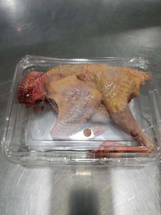 老鸽（净重5-7两/只） 商品图3