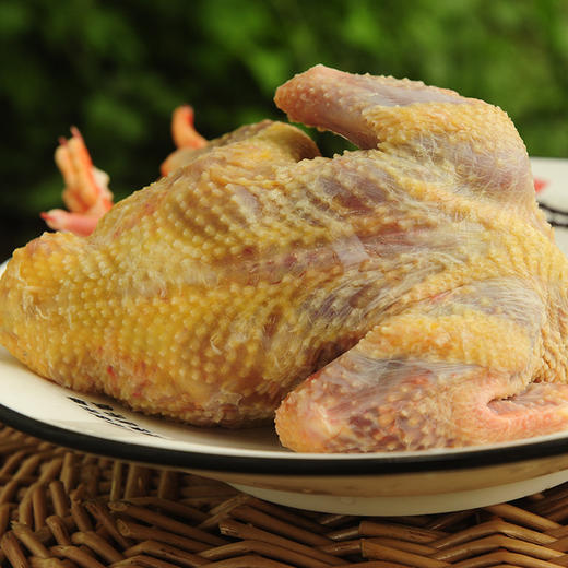 老鸽（净重5-7两/只） 商品图2