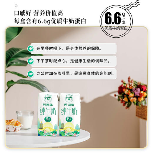 【9月生产】西湖牌新品钻石包纯牛奶200ml*40盒（散装，一次性配送到家） 商品图2