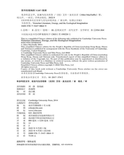 维多利亚文学、能量与生态想象 商品图4