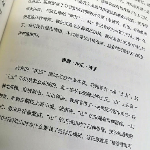 精装正版汪曾祺散文集全3册 草木有心人间有情+生命本来从容+寻常滋味人间草木人间有味现代文学散文小说集精选名家经典散文畅销书 商品图4