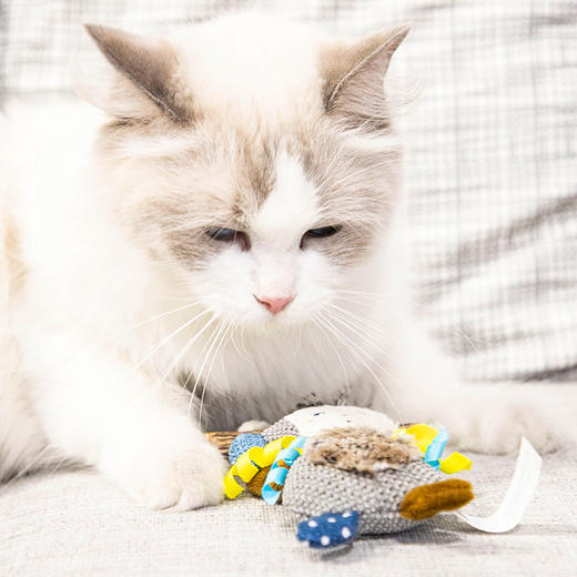 GiGwi贵为木天蓼磨牙棒猫咪洁齿耐啃咬自嗨解闷逗猫棒毛绒猫玩具 商品图3
