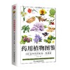 药用植物图鉴 商品缩略图1