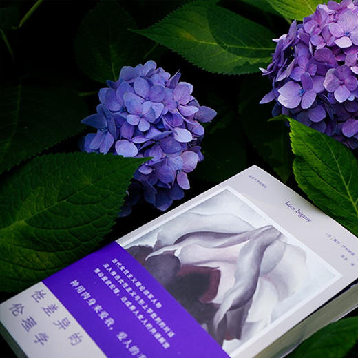 性差异的伦理学 露西·伊利格瑞 著 哲学 商品图2