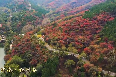 山东·齐鲁秋色摄影团9天——山东沂蒙山、潍坊石门坊红叶、淄博红叶柿岩景区、东营黄河湿地、济南红叶谷、青岛秋韵 商品图1