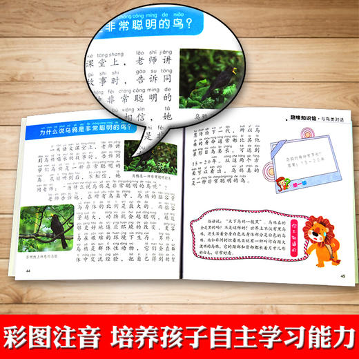 十万个为什么全10册套装注音彩图版儿童6-9-12岁少儿百科全书科普类书籍结合生活现象破解科学道理思维扩展阅读书籍 商品图3