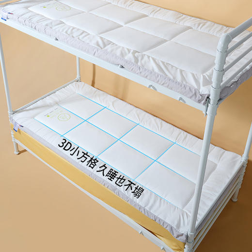 佳丽斯床垫软垫家用榻榻米垫子加厚租房垫褥睡垫 商品图5